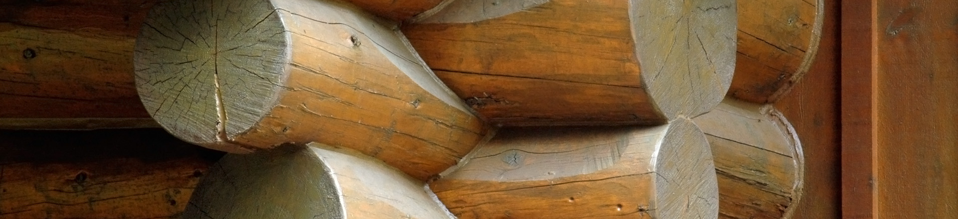 Dorj inc. photo 5